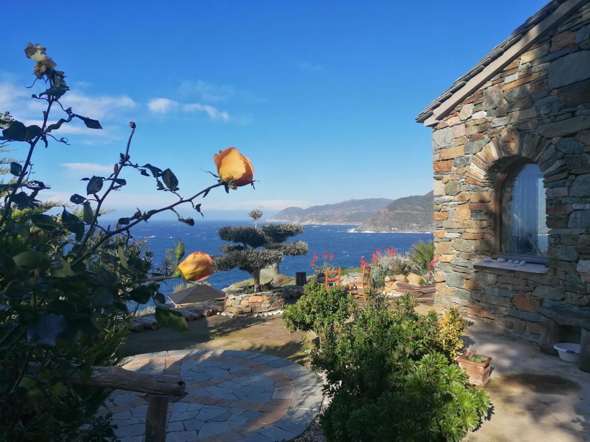 Coin De Paradis Vue Dominante Sur Mer, Montagne Et Tour Genoise Avec Jacuzzi Pino Exterior photo