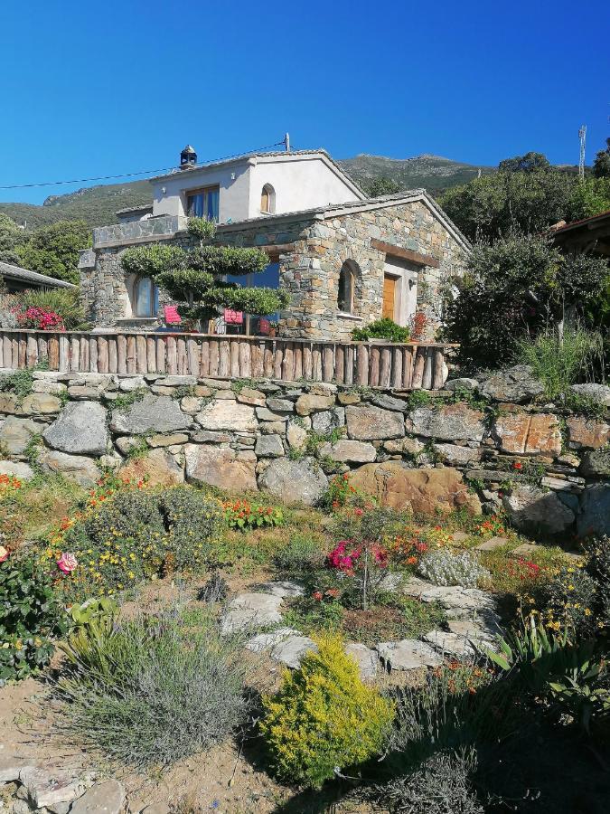 Coin De Paradis Vue Dominante Sur Mer, Montagne Et Tour Genoise Avec Jacuzzi Pino Exterior photo